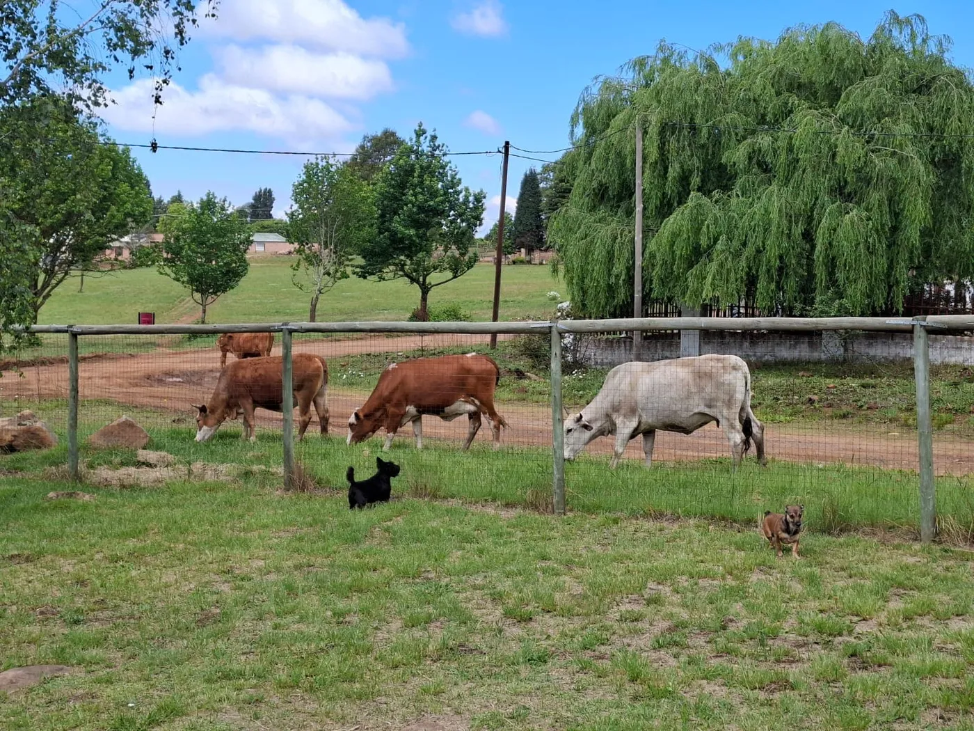 Our Neighbours 